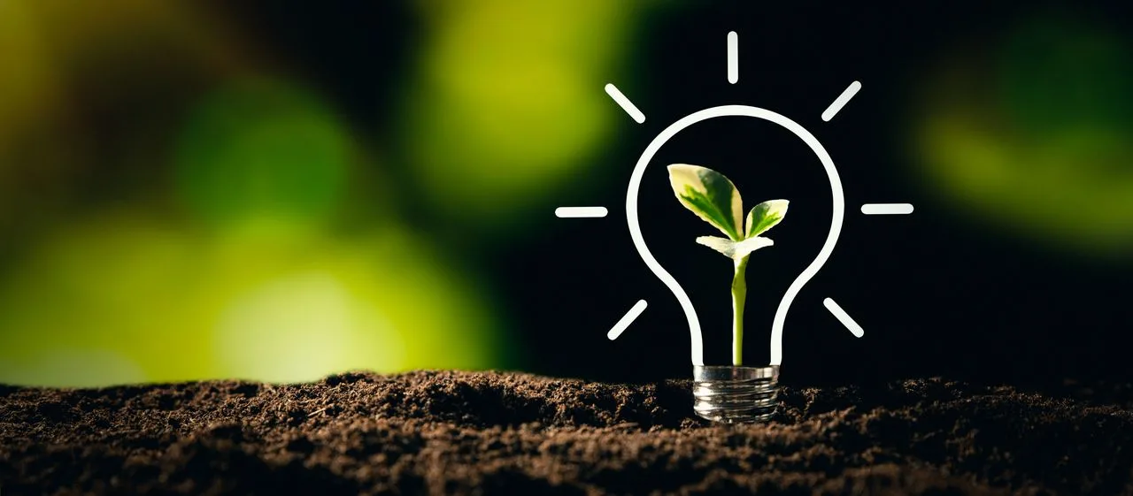 sustainability events